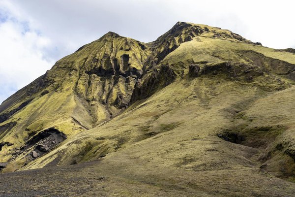 Révélation de l'impact revitalisant de la thérapie par le mouvement sur les symptômes dépressifs